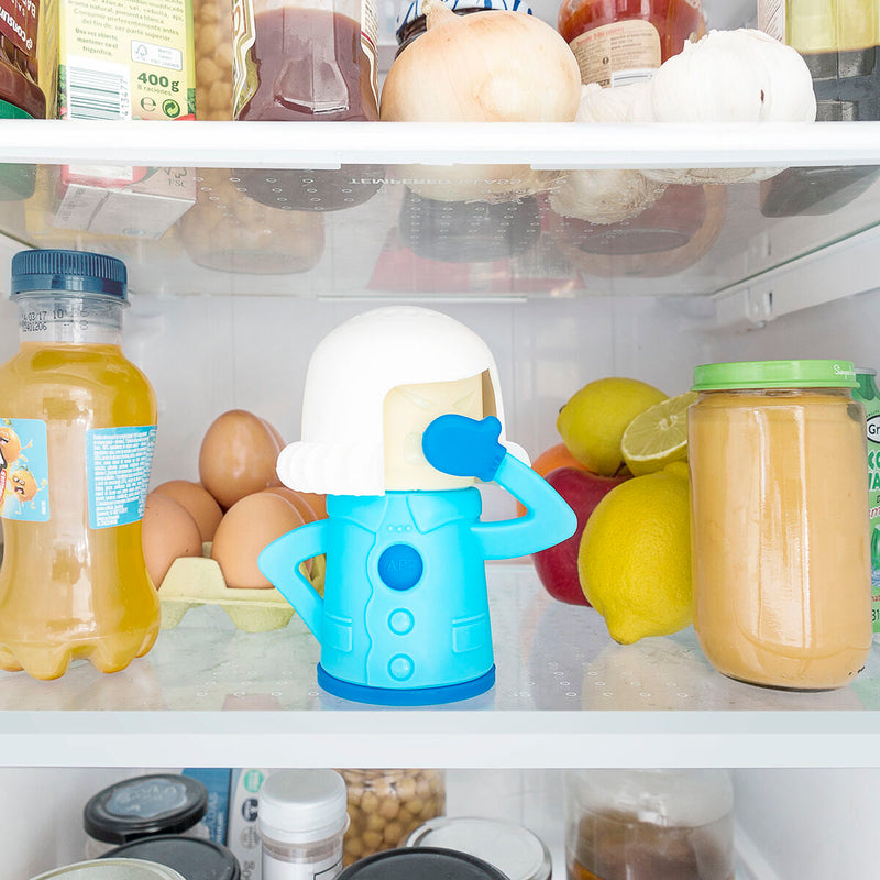 Freddy The Friendly Fridge Deodoriser